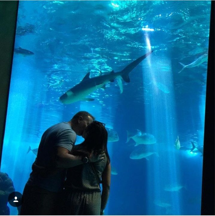 mauitickets's tweet photo. Want to go on a #Aquarium? We can get you the lowest rates on your reservations. More Info @ https://t.co/EkMkvJArBV https://t.co/7gmAQQZTeO