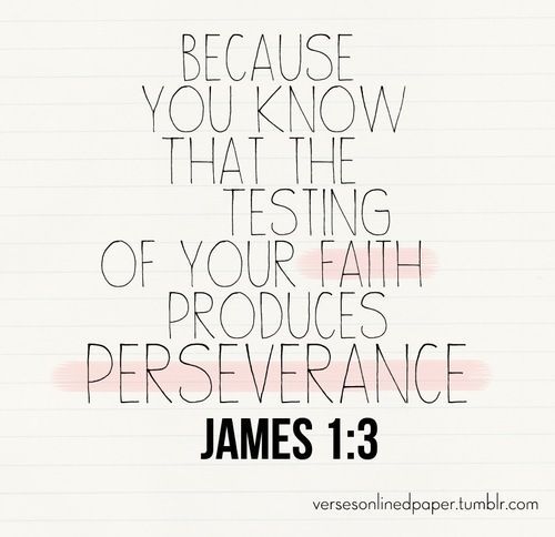 TheSkinnyPlus's tweet image. Perseverance in the New Year theskinnyplus.com/2018/01/03/per…