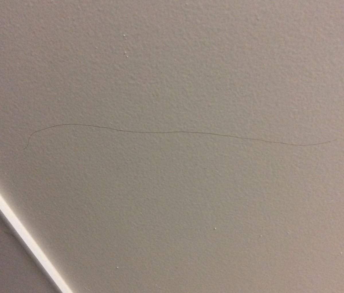 JodesJots's tweet image. How the hell did this get on the ceiling? At times I’m astounded (and thankful) I have any hair at all given the rate at which I find it all over the house. #middleageproblems