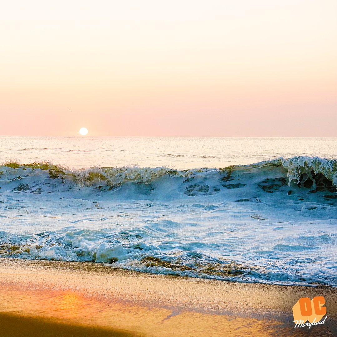 OCMaryland's tweet photo. When you see the foam, you know you’re home. https://t.co/goGPG4qk3q