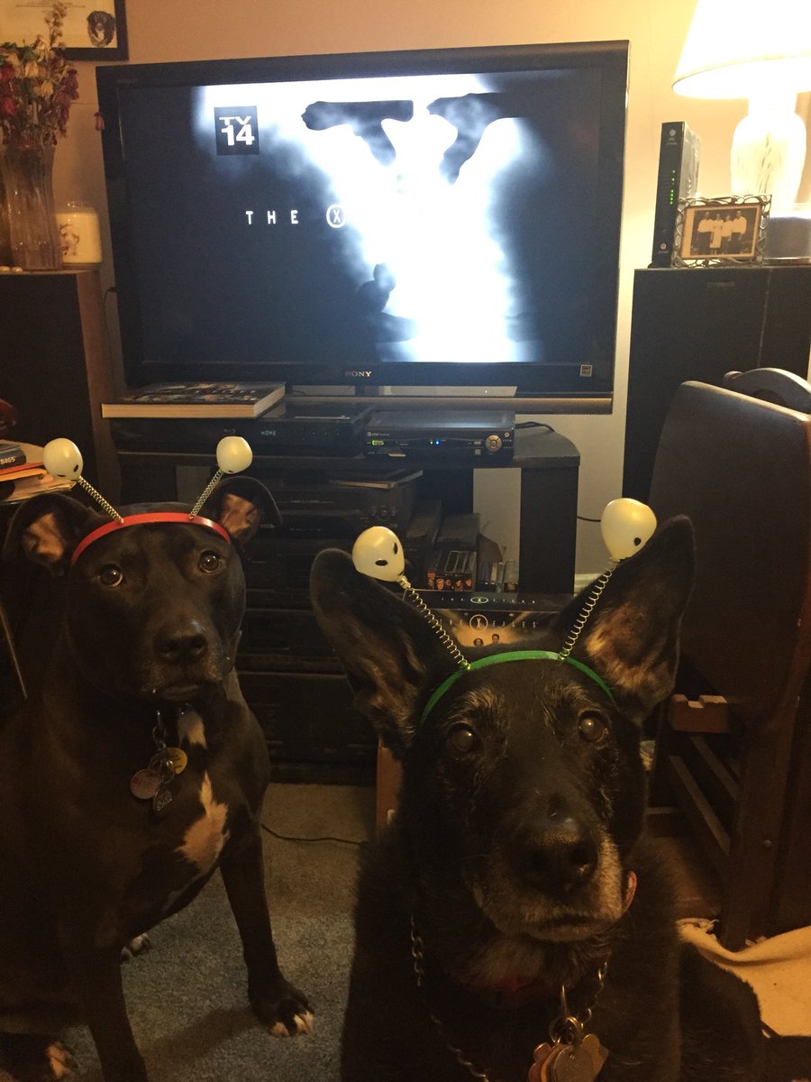 JanetAmorfati's tweet photo. Just finished our #MyStruggleII rewatch and we are ready for the premier #MyStruggleIII bring on #TheXFilesSeason11 #TheXFiles https://t.co/W2N49GGVnN