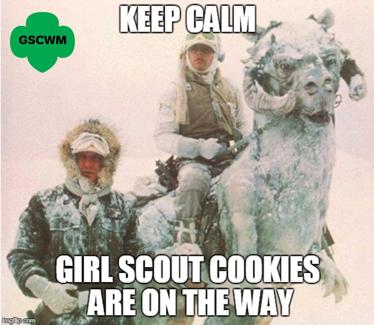 GSCWM's tweet image. Due to extreme weather for Sat, we are implementing Frozen Cookie Cyclone Plan #GirlScoutCookies bit.ly/FCCPlan