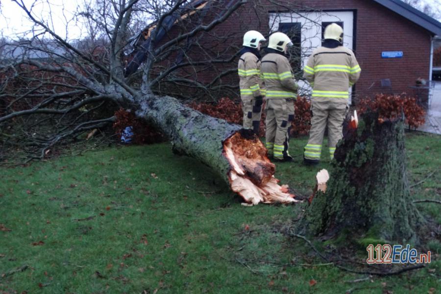🚨 Boom aan de Nederwoudseweg bezwijkt onder de storm 112.press/Q8lW71 #Lunteren #112Nieuws https://t.co/xbuL5Td5mK