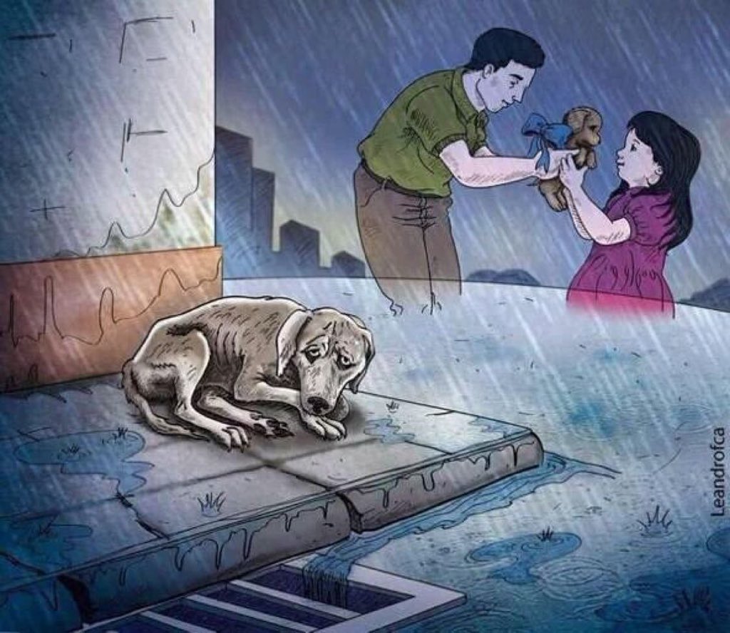 CHICHARRlN's tweet photo. Una mascota no es un juguete o un regalo. Una mascota es un miembro de la familia, no una cosa que puedes tirar . https://t.co/hPgyGYrVUq