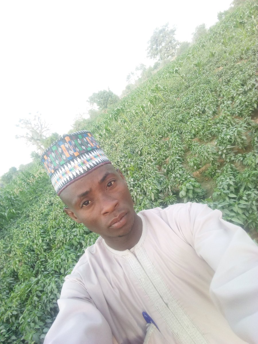 AJemomi's tweet photo. Irrigation farms initiated by Engr Tijjani jobe between 2008-2009 https://t.co/fc4TQeZXYV