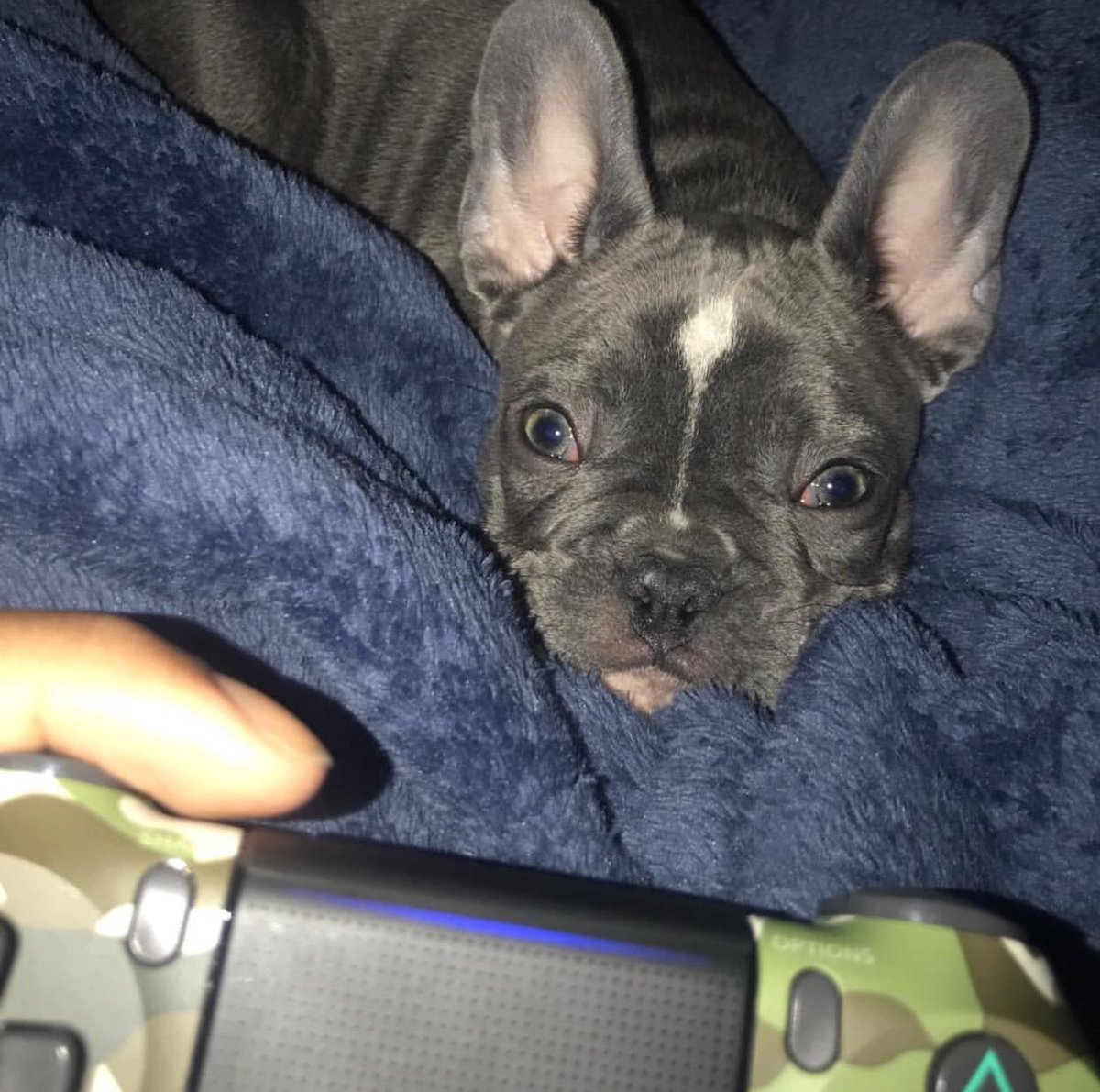 all he ever does is play video games and not play with me 😒😒 <a href="/teamjuju/">JuJu Smith-Schuster</a>