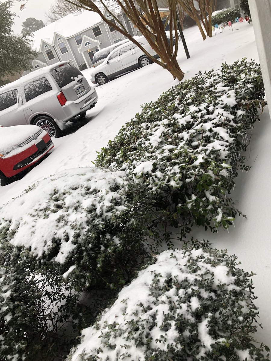 tearaschaffer1's tweet photo. @Live5News https://t.co/DA8j5uhSjW