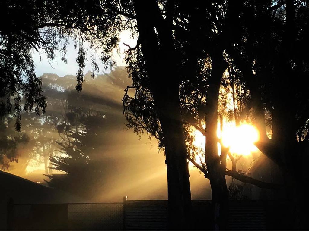 s28Cheeses's tweet image. Morning light🌤
#sunrise #factoryview #adelhills #hansheysencountry ift.tt/2CkcWc4