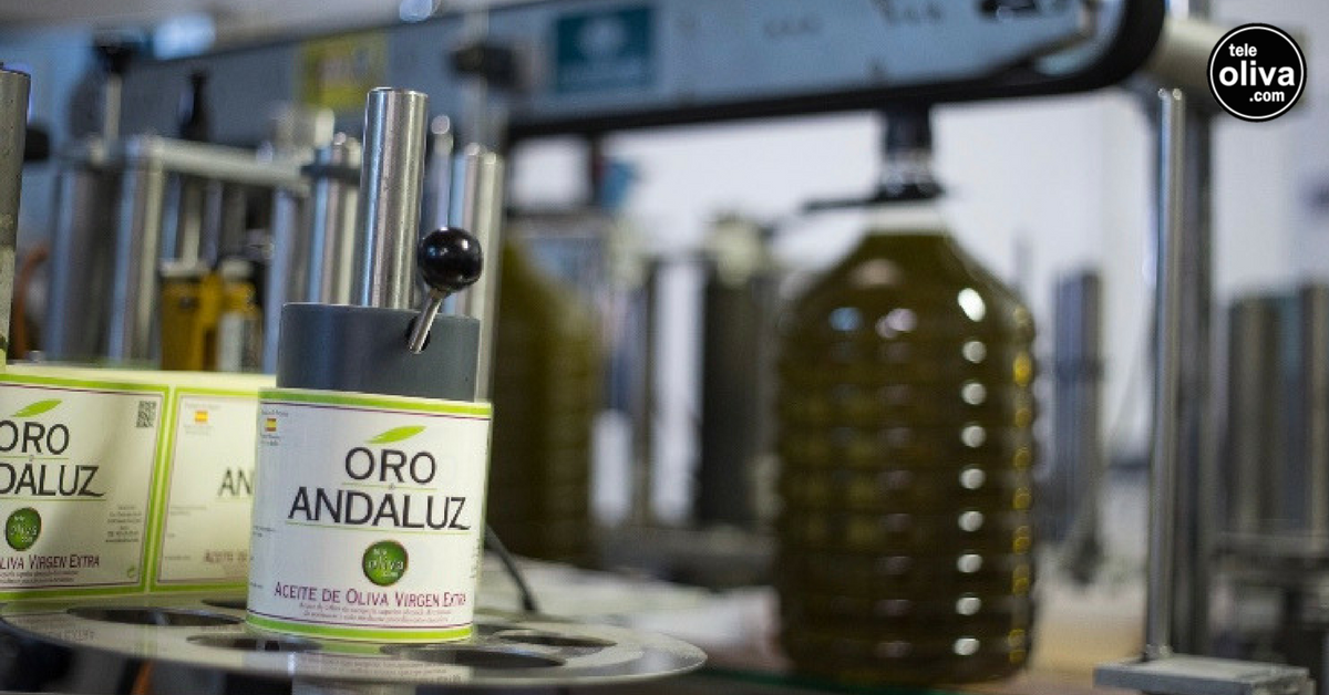 teleoliva's tweet photo. 🍈👨‍🌾  Nuevo año, misma ilusión. #AOVE #productoresdeaceite https://t.co/N17Q10TpSV