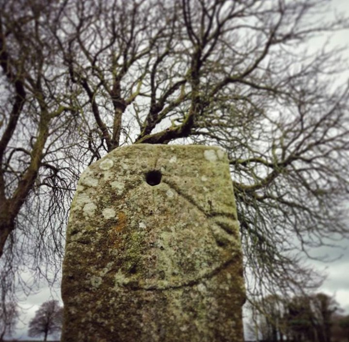 irarchaeology tweet picture