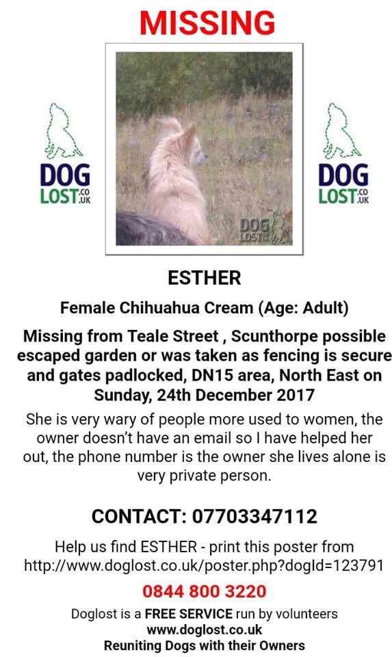 Forgetmenotted's tweet image. 