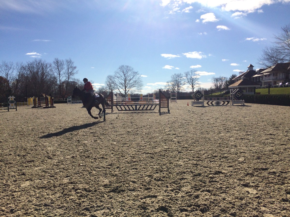 BettyLuvsHorses's tweet photo. #BobRose &amp; Rocky at the December #HorseShow Competition @OldSalemFarmNY.

#horses #equestrian #StarbuckEquestrian #horsebloggers #ridinglessons #horsebackriding #NorthSalem #NY https://t.co/s6jWjetnBi