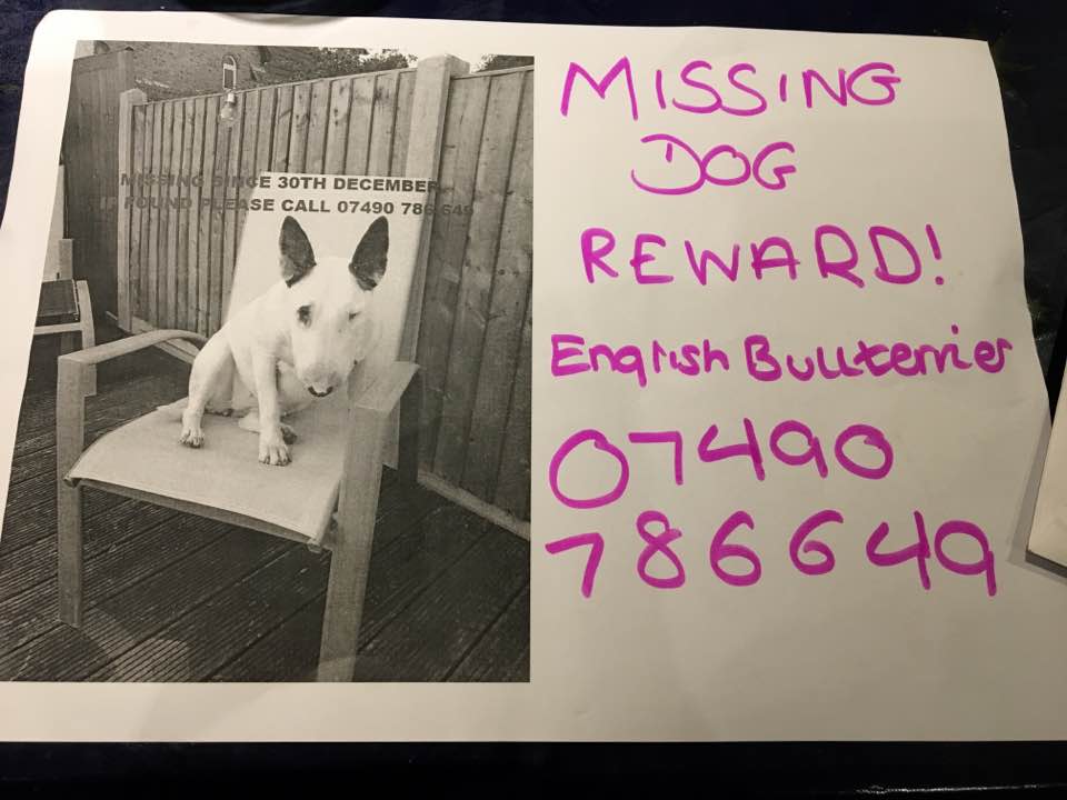 NorthOckendon's tweet photo. Came across 5 people desperately looking for their dog in North Ockendon, Upminster. Missing since the weekend, last spotted in Denises Lane https://t.co/4Hwax2NyBJ