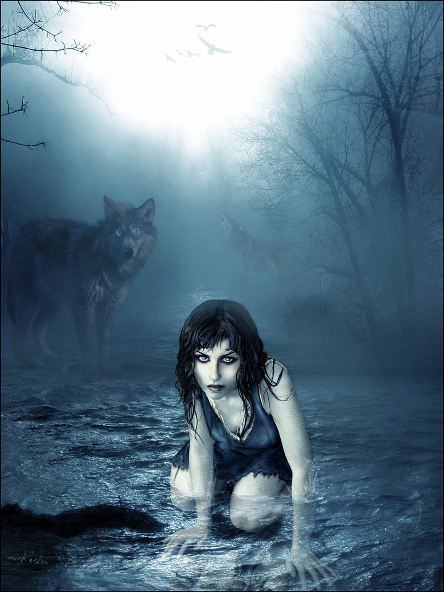 solavandevelde1's tweet photo. #WolfDark Night Suspense....# https://t.co/Lga8bwSQk9