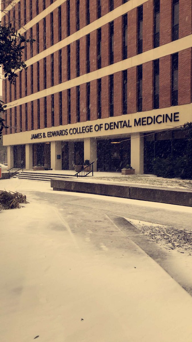 South Carolina American Student Dental Association tweet media