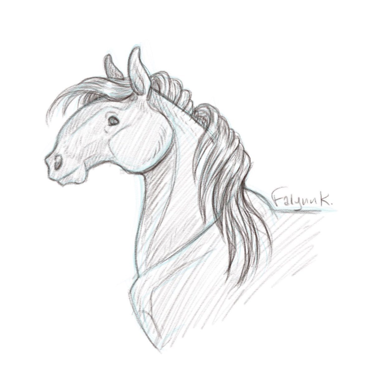 FalynnK's tweet photo. Sketching animals that aren’t talking or mythological for once
_________
#horse #horses #ghostthemutt #dog #mutt #mustang ##kladruber #sketch #sketchbook #digital https://t.co/DwLth8FTH4