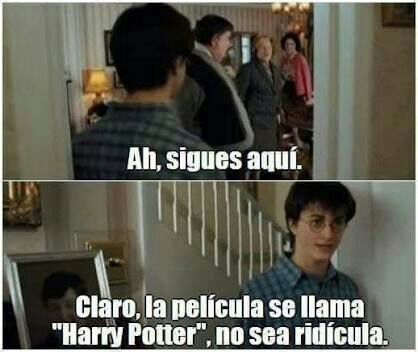 EiProfeta's tweet photo. JAJAJAJAJAJAJA. https://t.co/E7QSkKqVYY