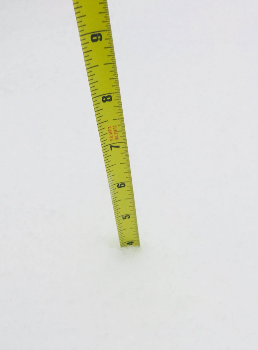 SARAWVU304's tweet photo. And still coming down! #chswx #mtpsc #SnowInSC #mountpleasantsc https://t.co/2FR3eST8SP