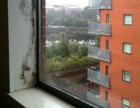 TessaShepperson's tweet image. Is your Council / Housing Association home in bad repair?      bit.ly/1QCHVlc