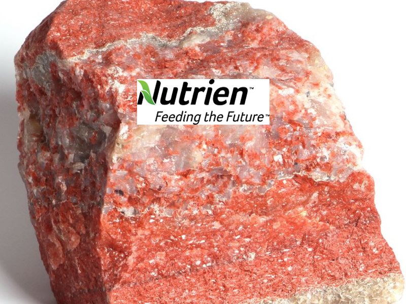 Shares On The Rise For Nutrien dlvr.it/Q8m5cw https://t.co/LE7bncq2kG