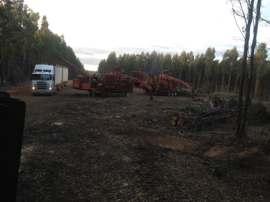 whallam's tweet photo. Holidays are never long enough #backatit #killing trees😋😋👏👊 https://t.co/OaXN1V2Hhi