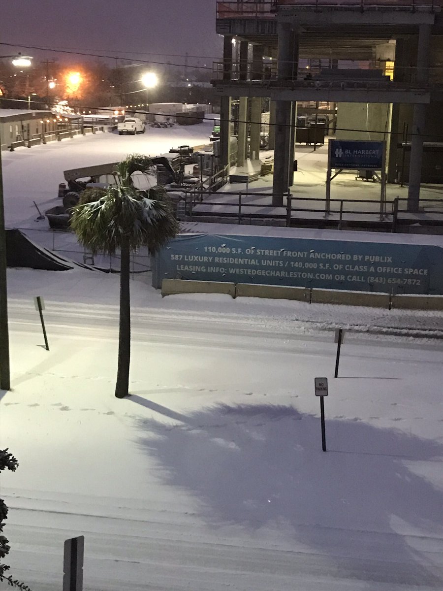 bookczuk's tweet photo. Snow on palmetto; Charleston SC, WestEdge project. https://t.co/hLwQtsUHOp