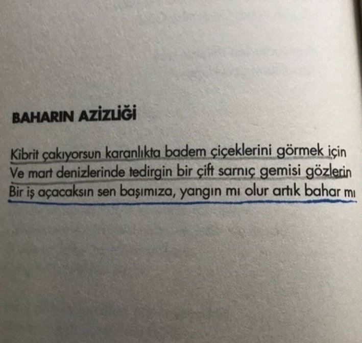 CEliyarli's tweet photo. Yangın mı olur baharmı.. https://t.co/Mk3ATvMNKN