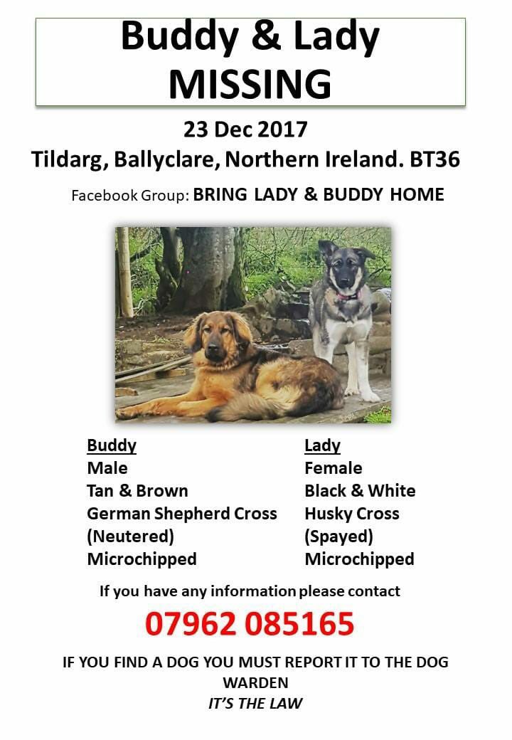 rosiedoc666's tweet photo. #findBuddyandLady #MISSING now presumed #stolen #Tildarg #Ballyclare #NorthernIreland #BT36
Join their FB GROUP bring lady and buddy home
BUDDY male tan&brn #GSD x neutered & chipped
LADY female blk&wh #Husky x spayed & chipped
23/12/17 IF FOUND YOU MUST REPORT TO WARDEN https://t.co/B7p2AlBx64