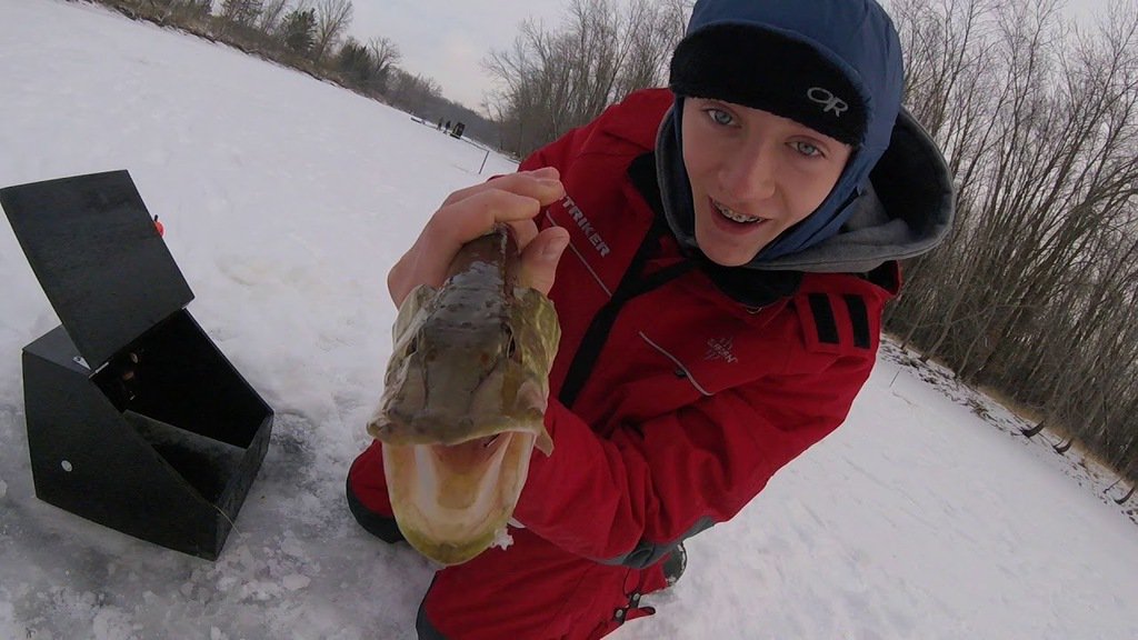 fishingbuzzlife's tweet photo. My brother and I got into some northerns ice fishing the other day! #fishing https://t.co/LtJnXRFed5