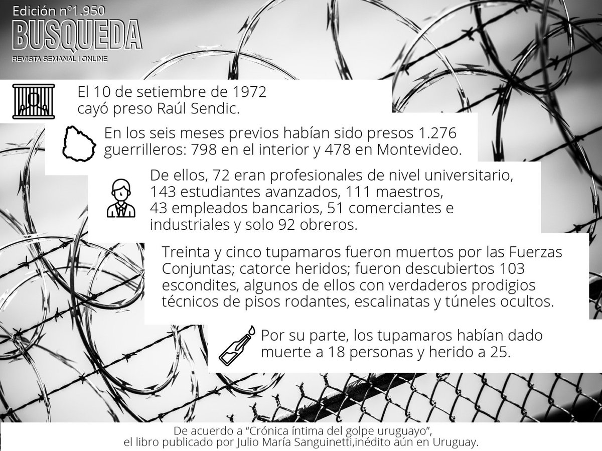 BÚSQUEDA tweet media