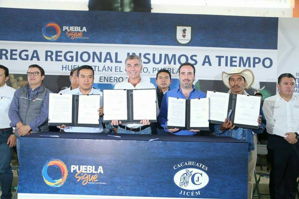 JuanAndresRaDo's tweet photo. De reconocer la entrega del Gobernador @TonyGali al promover el Convenio Agricultura por contrato entre productores de Cacahuate y la empresa JICEM en Huehuetlan el Chico. Enhorabuena. https://t.co/EFvBM3HXdn