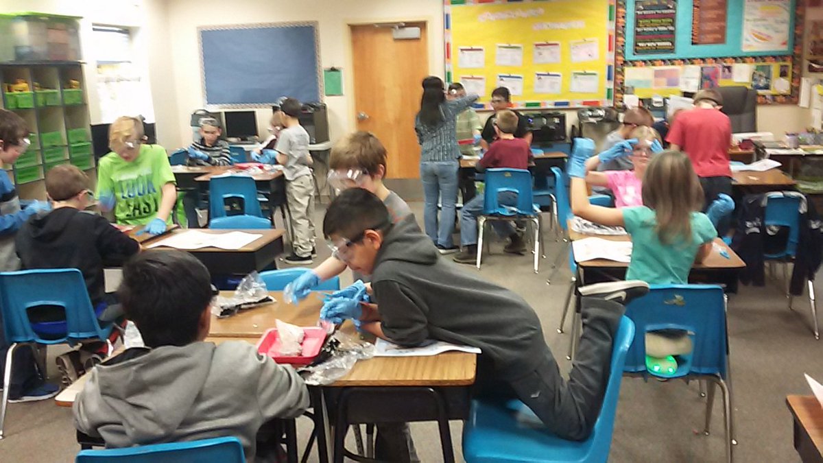 wmesprincipal's tweet photo. 4th grade scientists examining Squid. https://t.co/Zryl8Sxh62