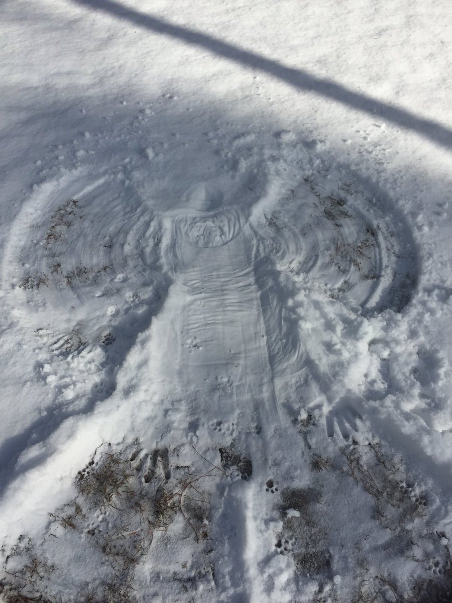 jphill88's tweet photo. First make snow angels for two hours https://t.co/b8g8uWMKeJ