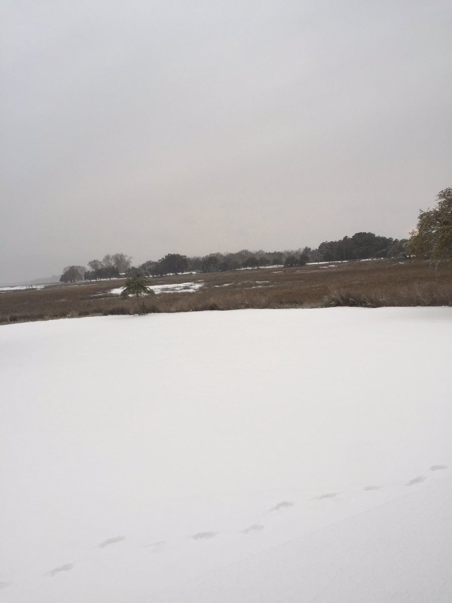 CryptoCaptin's tweet photo. The last time my eyes saw snow I was a measly 10 years old.. 8 years later and it's finally back! Fun cheerful way to start off my 2018 year. Maybe a great fortune of wealth in cryptocurrency will follow behind it! https://t.co/7zJa4gbrT5