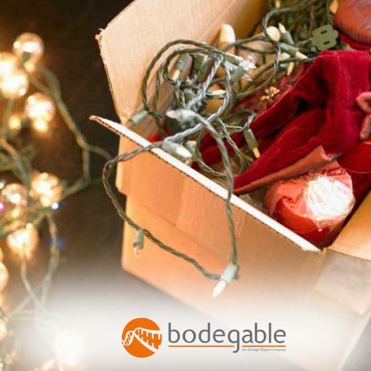 BodegableGDL's tweet photo. Guarda tus decoración Navideña en #Bodegable
Paga por el espacio que ocupas a un precio justo. https://t.co/aZJ9gDoCxU