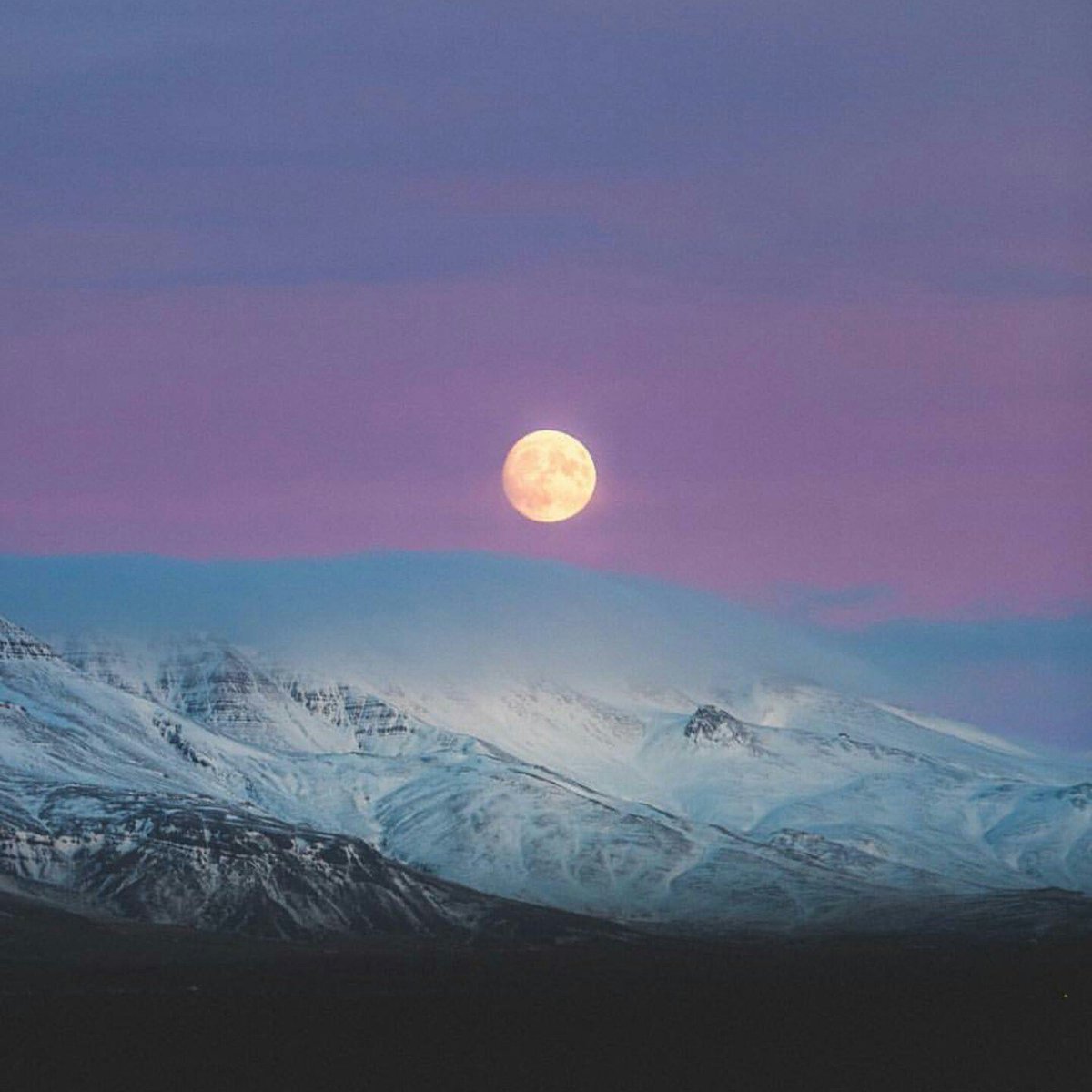 Campervan Iceland tweet media