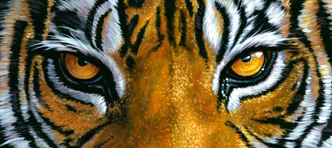 Rockdale_bball's tweet photo. TIGER BASKETBALL VS JARRELL TONIGHT IN ROCKDALE ! FRESHMAN WILL START@5pm Jv and VARSITY WILL RUN SHORTLY AFTER! COME SHOW THAT TIGER PRIDE! #2getherweAttack https://t.co/Us07uL7cq4