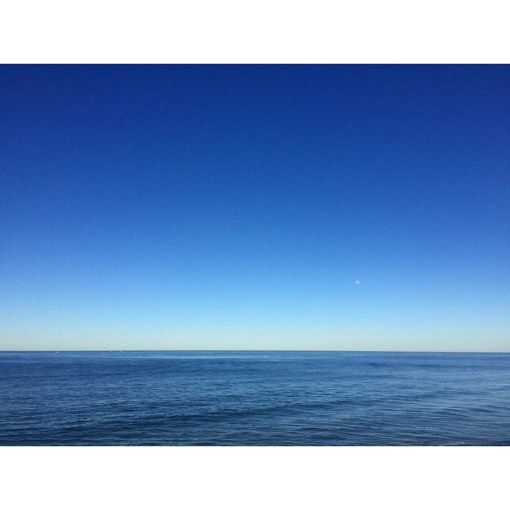 NatBrunoli's tweet photo. morning time moon https://t.co/CeUB3vLOT7 https://t.co/P8LrKw3aJP