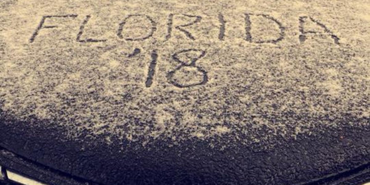 ndn's tweet photo. Tallahassee gets first measurable snowfall in decades https://t.co/Ncju9GBX7J https://t.co/jBIppD8F1I