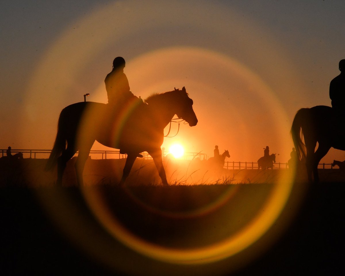 BloodHorse's tweet photo. Slideshow - Photographer's Favorites: 2017 Year in Review. Images by @BH_AEberhardt, @ChadBHarmon, @SKIPSCAM, @MakMathea4, and more!
https://t.co/LqP3W7vNs0 https://t.co/1oPzMwjVNe