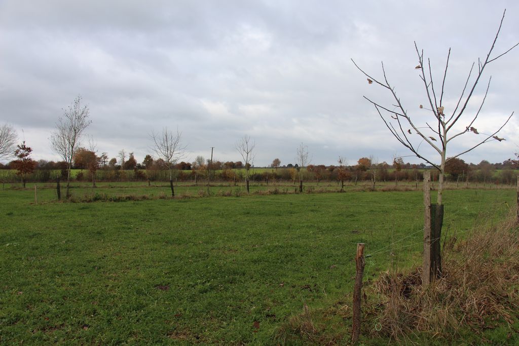 YousriHannachi's tweet photo. En plus du tirer profit des arbres dans les haies, Dominique Bordeau les places désormais aussi à l’intérieur même de ses parcelles pour "adapter son système au changement climatique et augmenter la productivité des parcelles"
https://t.co/u11axcKcCh https://t.co/y68avJPUHS