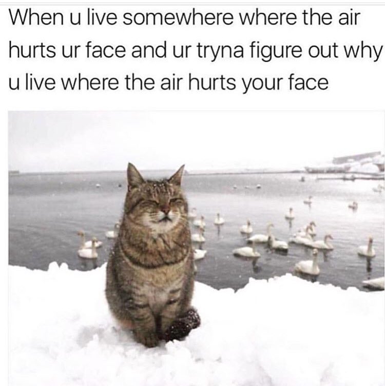official_krista's tweet photo. I think I post this every winter.... but seriously.. why? #movingtocali #asap https://t.co/JsJHiqYdg3