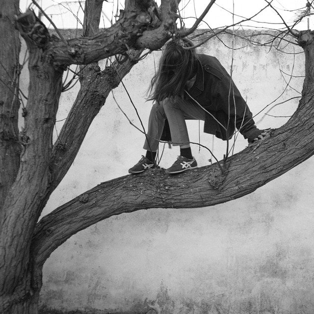 SignosFM_'s tweet image. Antes de que terminara el 2017, @Ch_Rosenvinge reveló el segundo adelanto de su próximo disco. 

Escucha “Ana y los Pájaros”: bit.ly/2CCW3NS