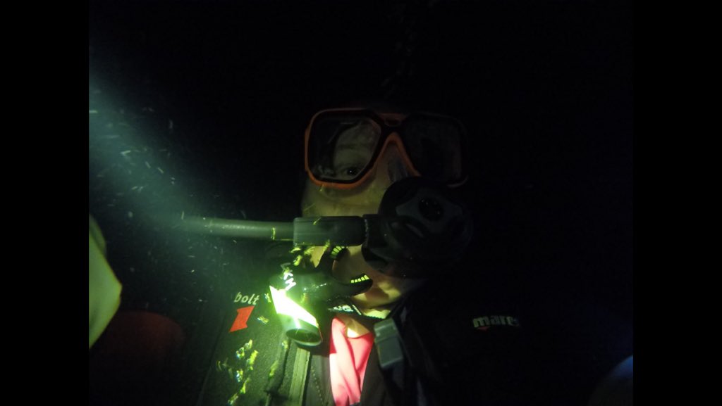 plussizescuba's tweet photo. #plussizescuba #wedivetoo #scubadiving #deepdiving #scubaaddict #girlsthatscuba #fatscubadiver #divingwhilefat #notasize2 #scubadivingwomen #scubachick https://t.co/e84fuYLxPW