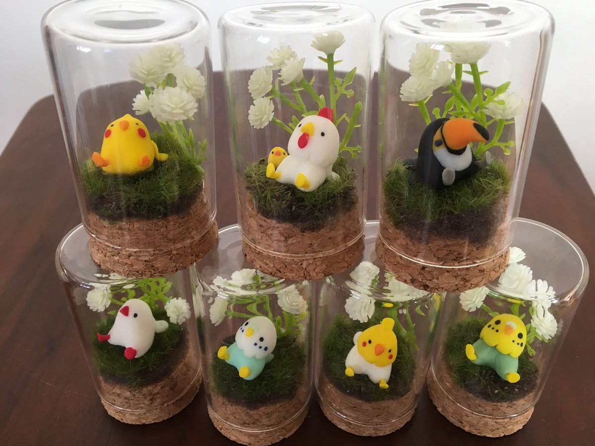 小鳥のテラリウム。数量ですが、持って行くつもりです🌸
 #鳥フェス神戸  #手作り
