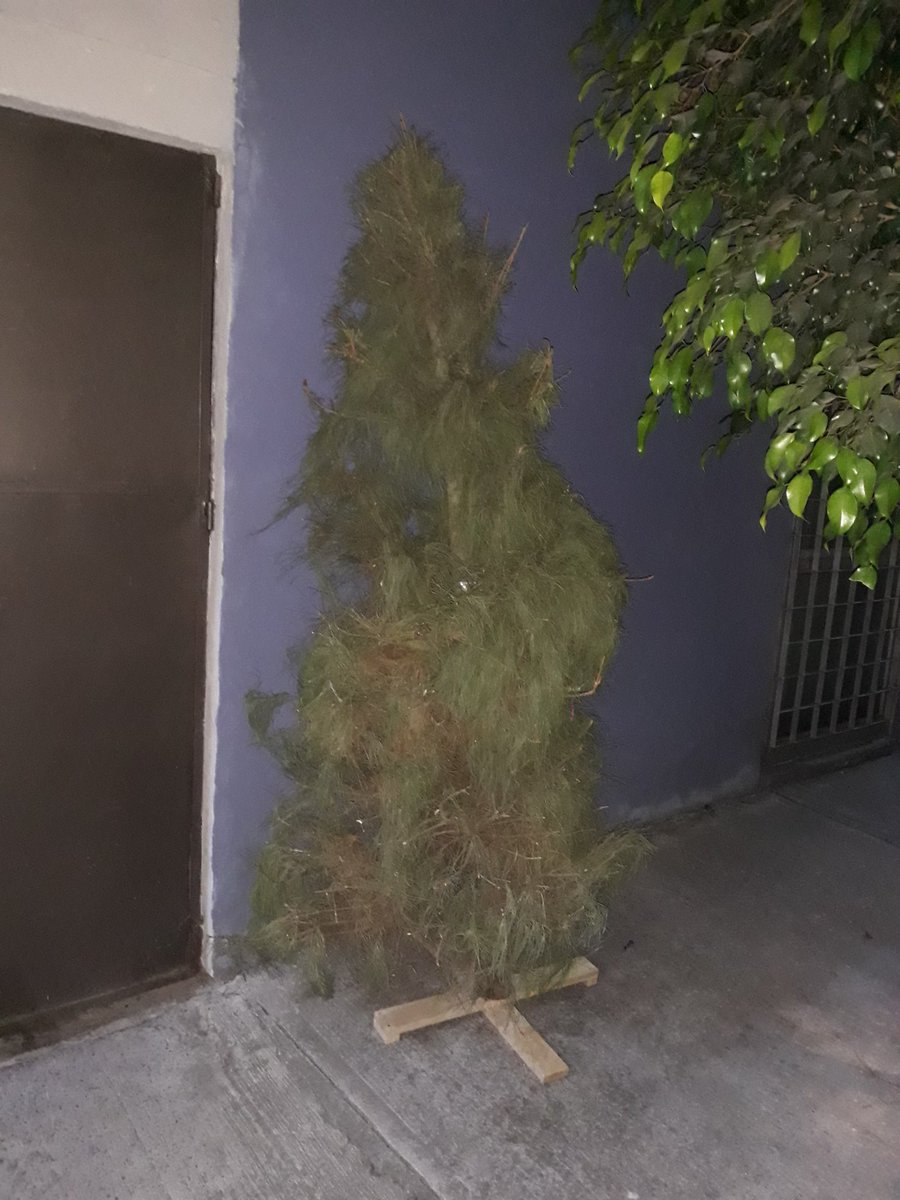 marco_piloto's tweet image. Era de esperar. Como me emperra que la pinche gente naca haga esto, abandonar un árbol navideño en vía pública, gente huevona que no lleva a los depositos dichos arbolitos.  Cerrada de Amores, @En_laDelValle