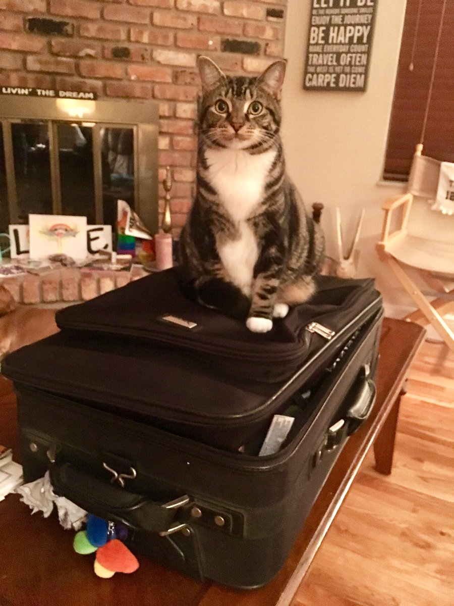 mcrouch211's tweet photo. Not sure why this suitcase is out . . . 🤔😂 https://t.co/xwkJE2qIHi