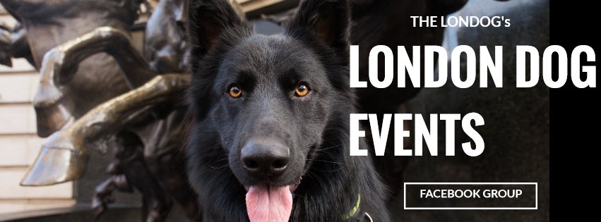 The Londog tweet media