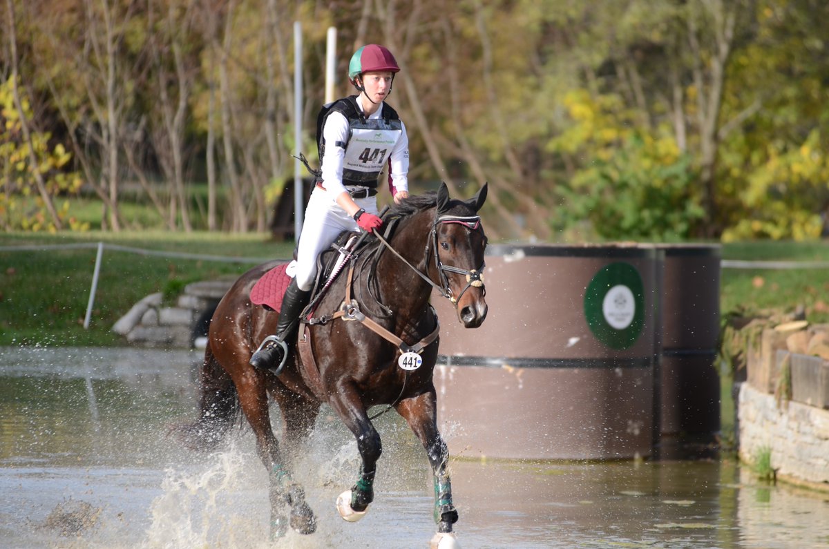 BaBaughman's tweet photo. #SmartPakPhotoFeature @SmartPak Arch Dancer, OTTB, through the Head of the Lakes at @KyHorsePark in 2017! https://t.co/RPUXiB4zBn