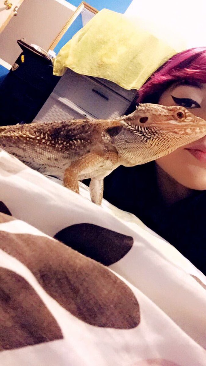 phakenchet_'s tweet photo. My baby turns one this month😻😩✨ #dragonmomidliketofuck #dMILF #WRX https://t.co/JP0uDp0ozj